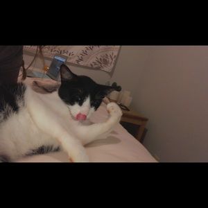 Meet your Posher, Amy